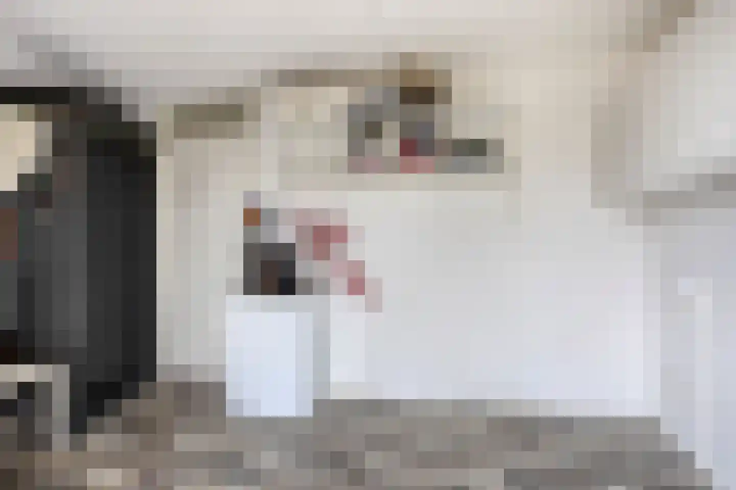 it Harspit 59 Sneek thumbnail 29