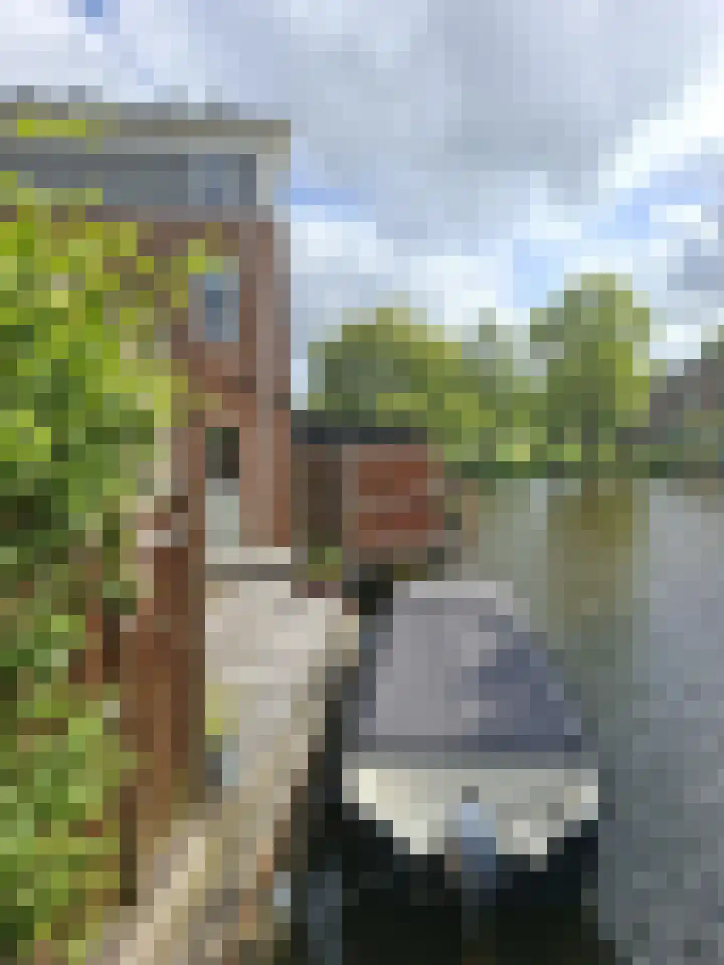 it Harspit 59 Sneek foto 3