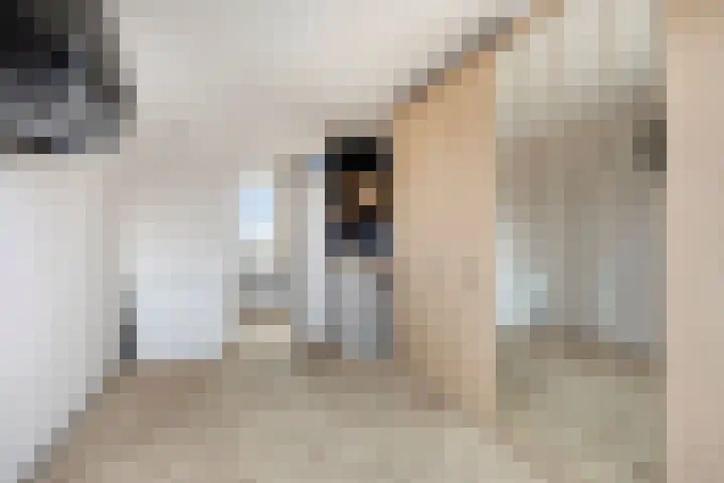 it Harspit 59 Sneek thumbnail 40
