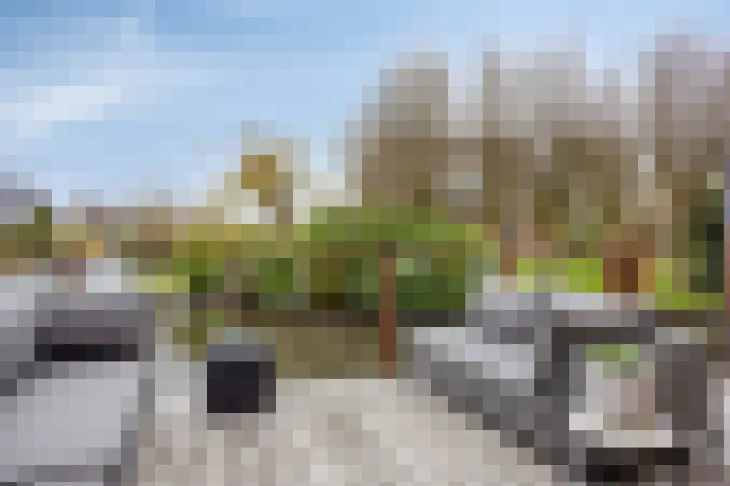 it Harspit 59 Sneek thumbnail 45
