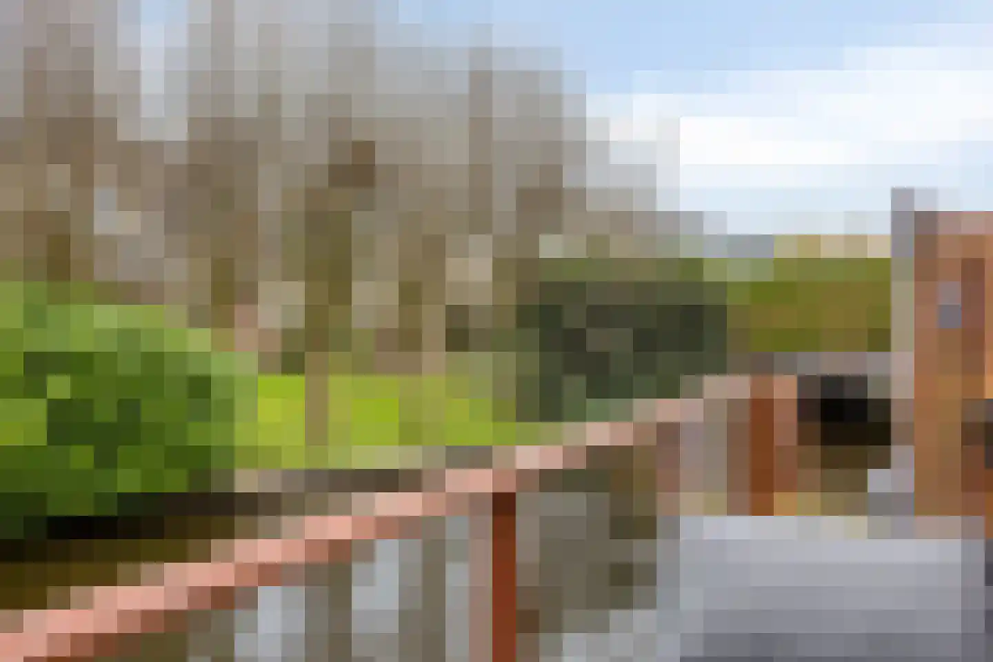 it Harspit 59 Sneek thumbnail 48