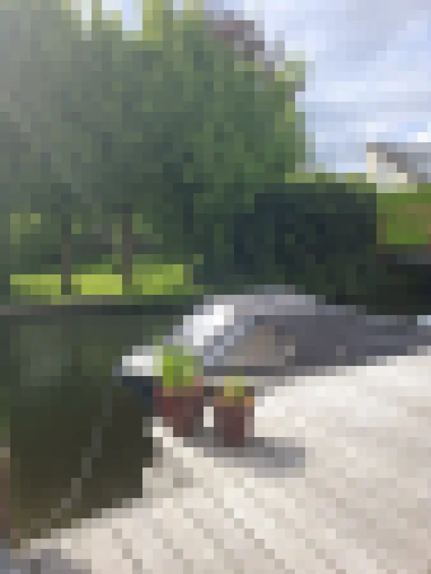it Harspit 59 Sneek thumbnail 5
