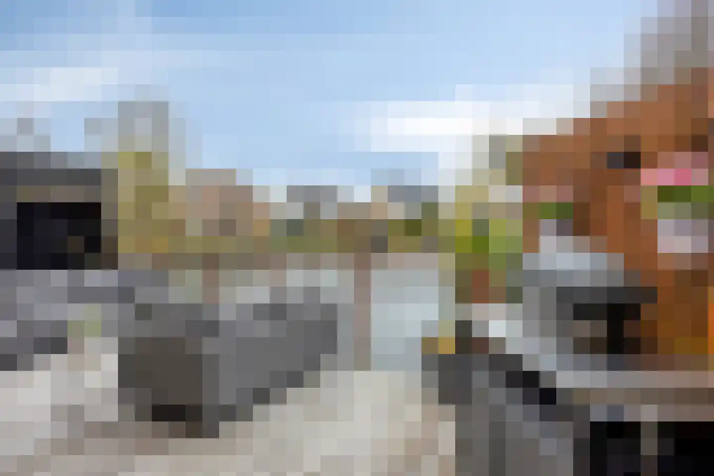 it Harspit 59 Sneek thumbnail 50