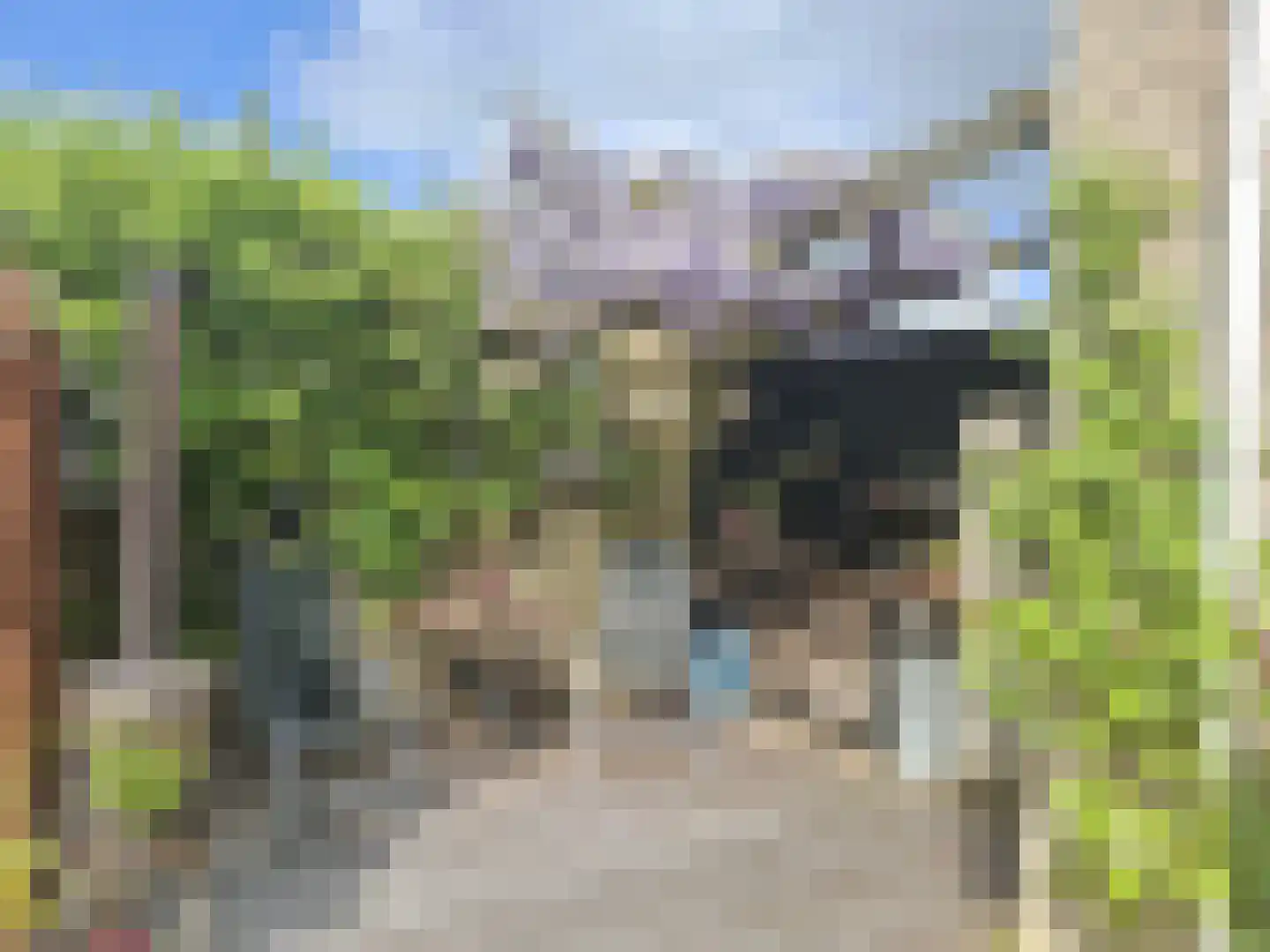 it Harspit 59 Sneek thumbnail 52