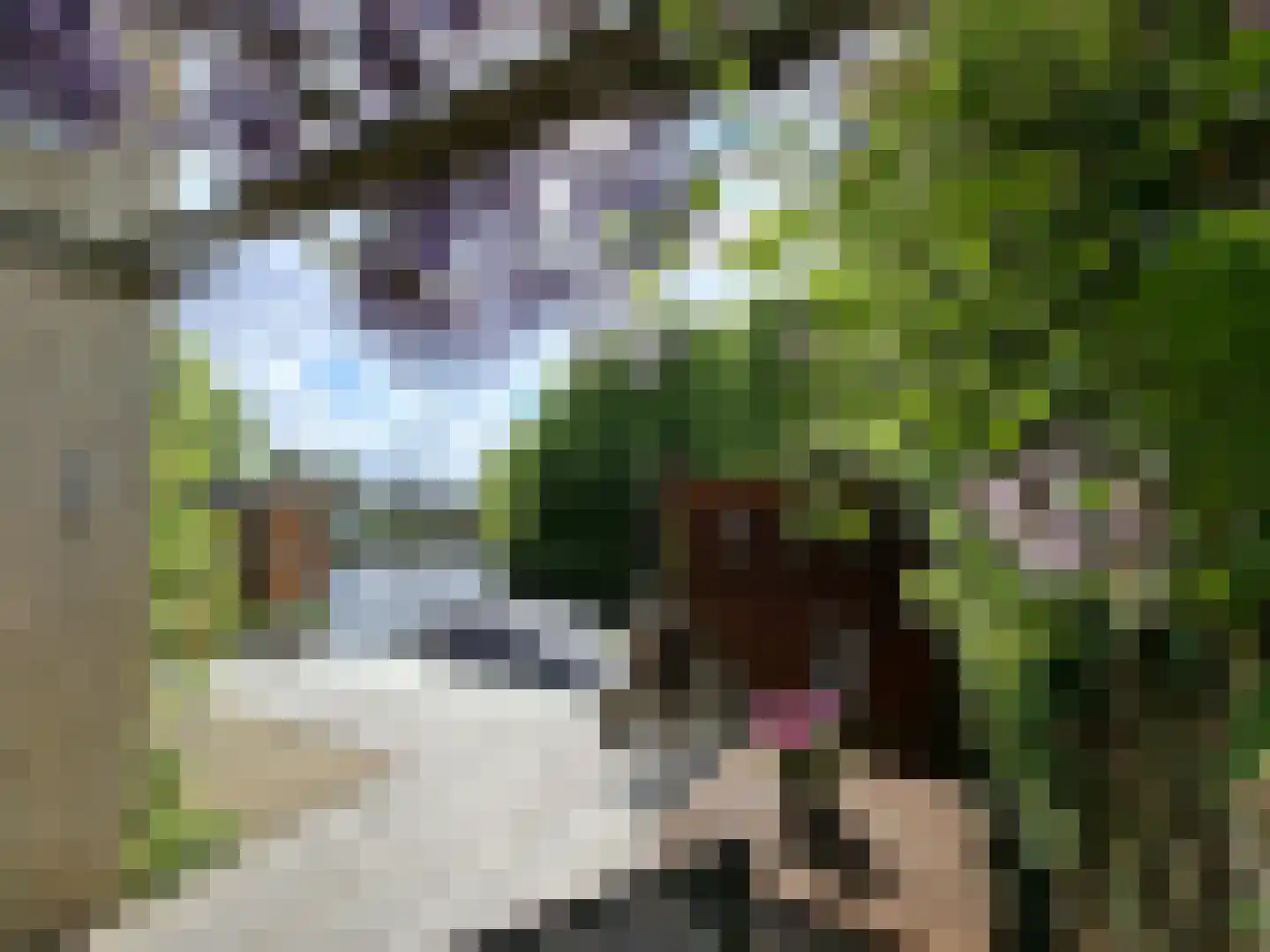 it Harspit 59 Sneek thumbnail 53