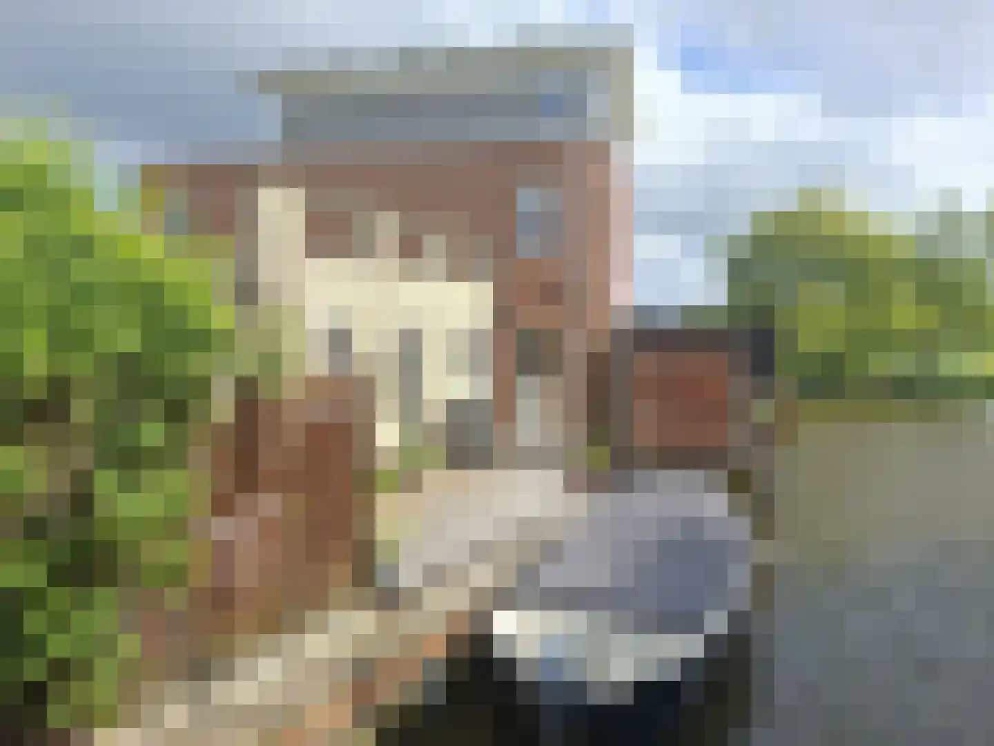 it Harspit 59 Sneek thumbnail 59