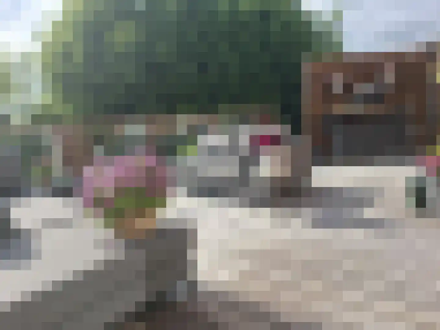it Harspit 59 Sneek thumbnail 62