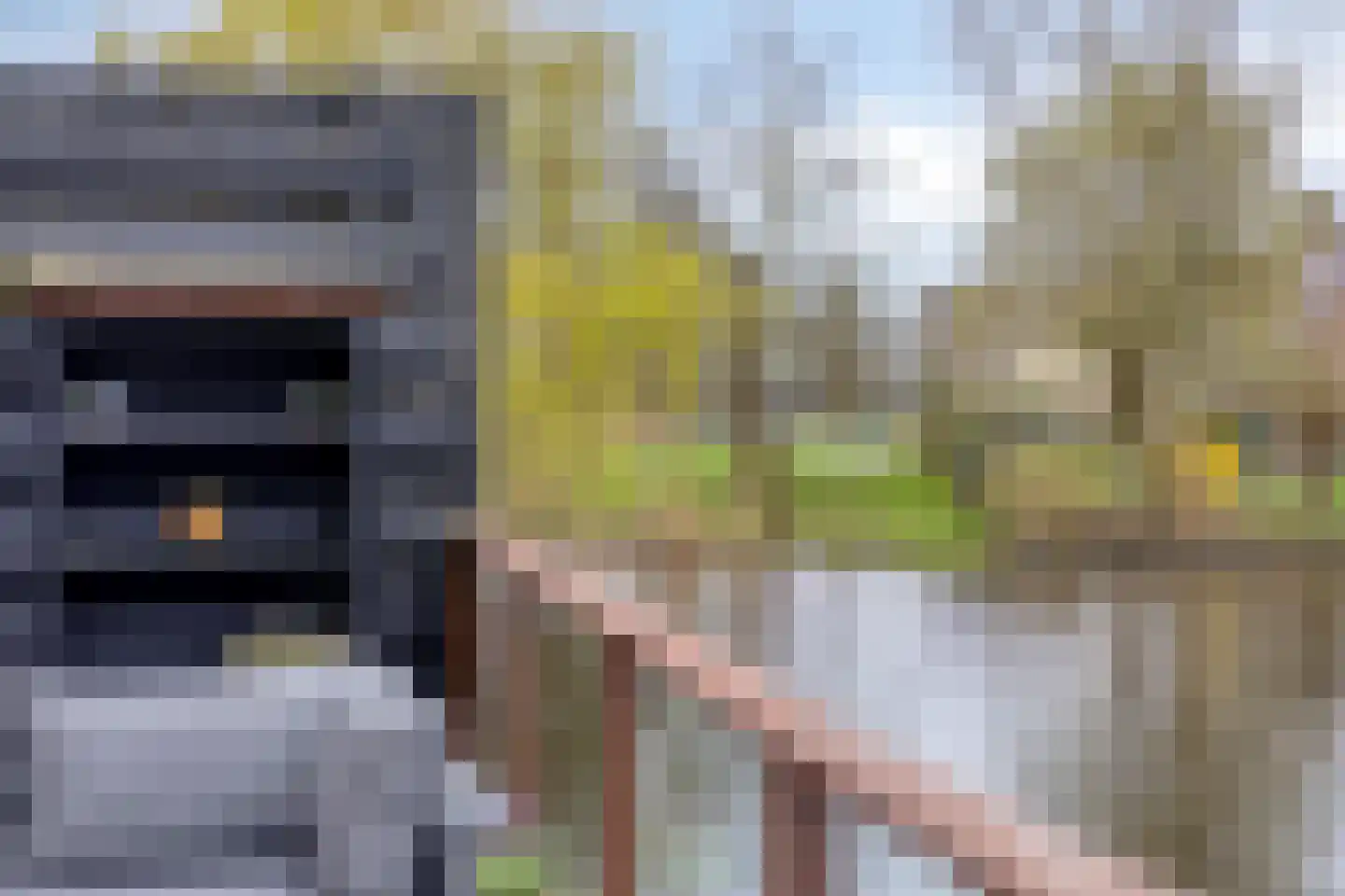 it Harspit 59 Sneek thumbnail 65