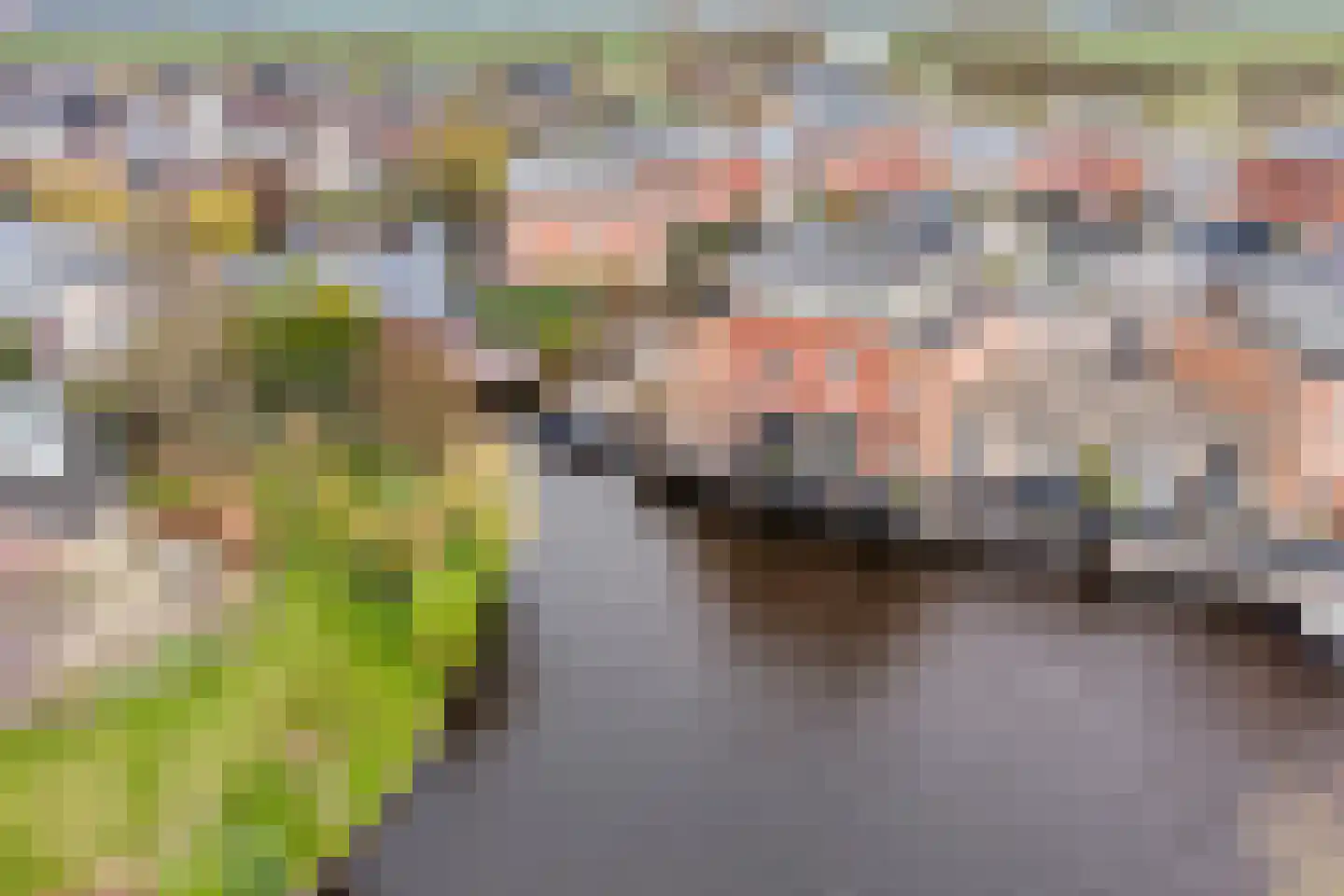 it Harspit 59 Sneek thumbnail 66