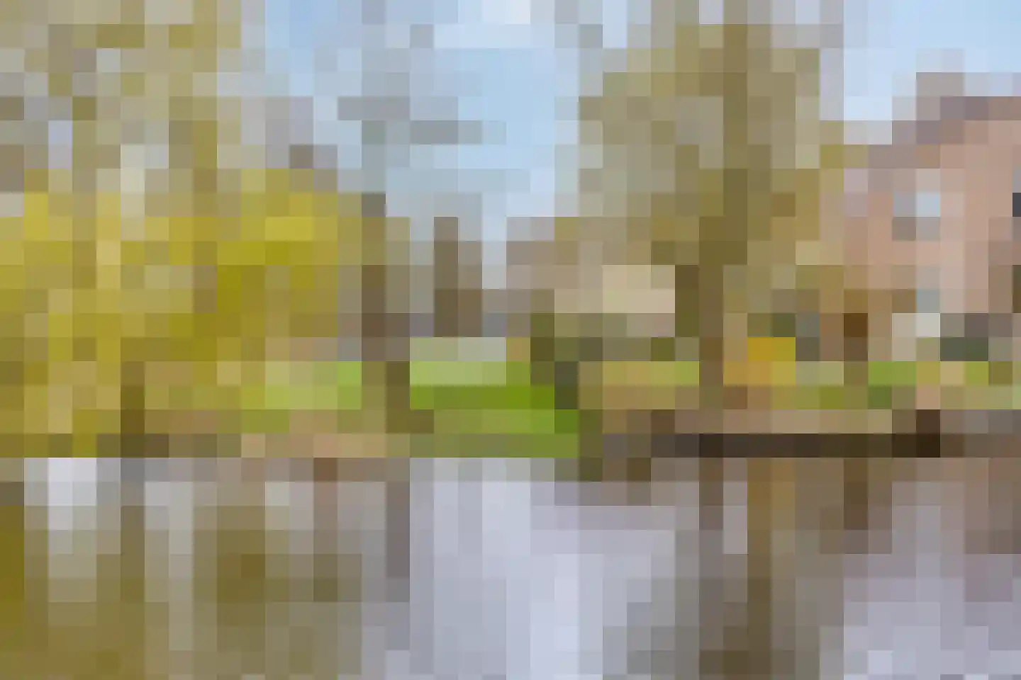 it Harspit 59 Sneek thumbnail 72
