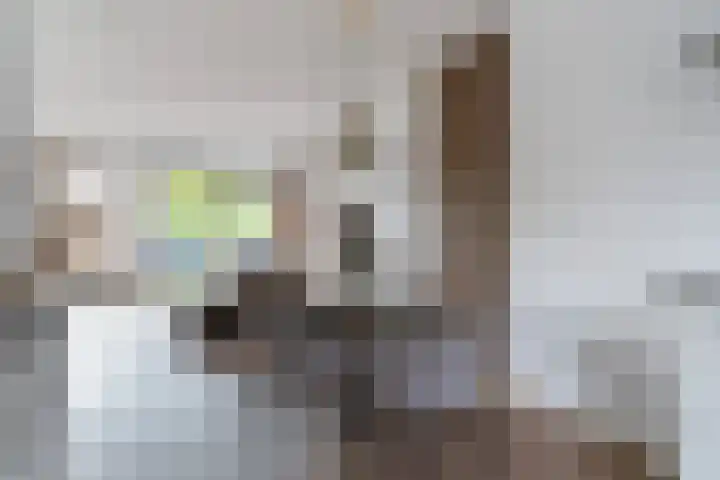 It Heafek 19 Leeuwarden thumbnail 19