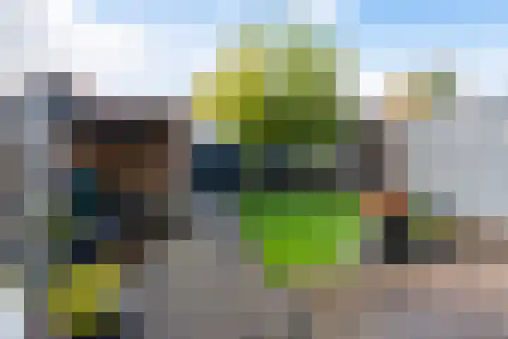 It Heafek 19 Leeuwarden thumbnail 26