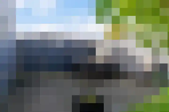 It Heafek 19 Leeuwarden thumbnail 29