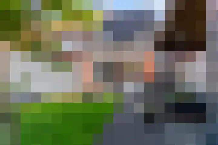 It Heafek 19 Leeuwarden thumbnail 30