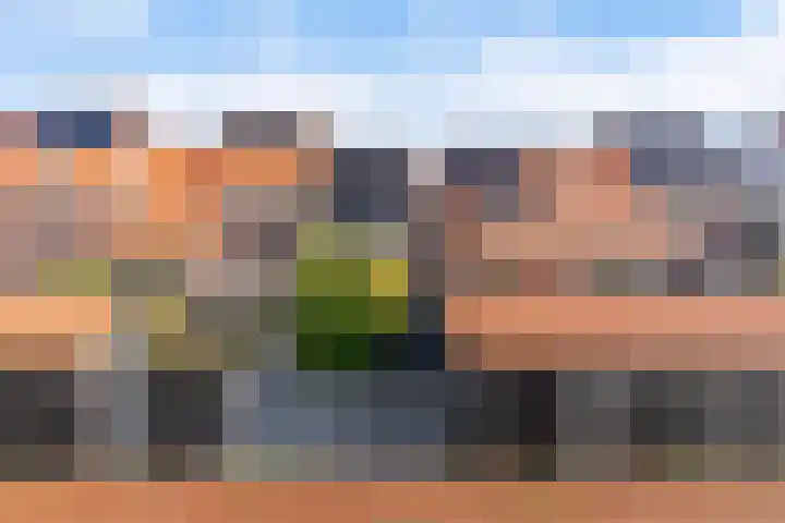 It Heafek 19 Leeuwarden thumbnail 32