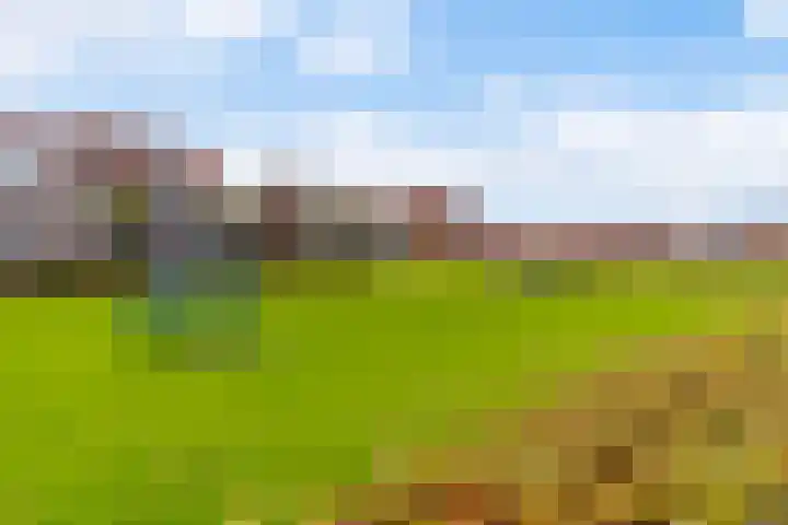 It Heafek 19 Leeuwarden thumbnail 43