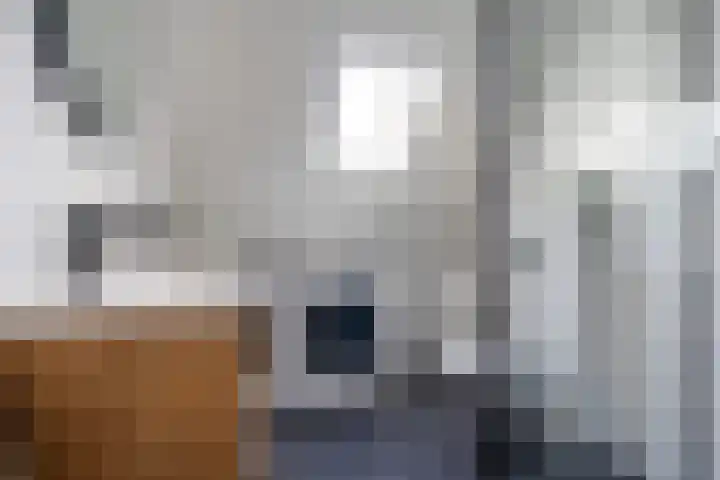 It Heafek 19 Leeuwarden thumbnail 5