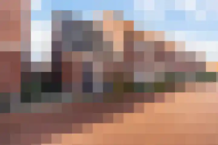 It Heafek 19 Leeuwarden thumbnail 8