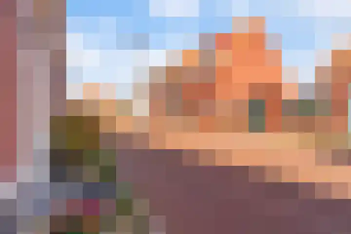 It Heafek 19 Leeuwarden thumbnail 9