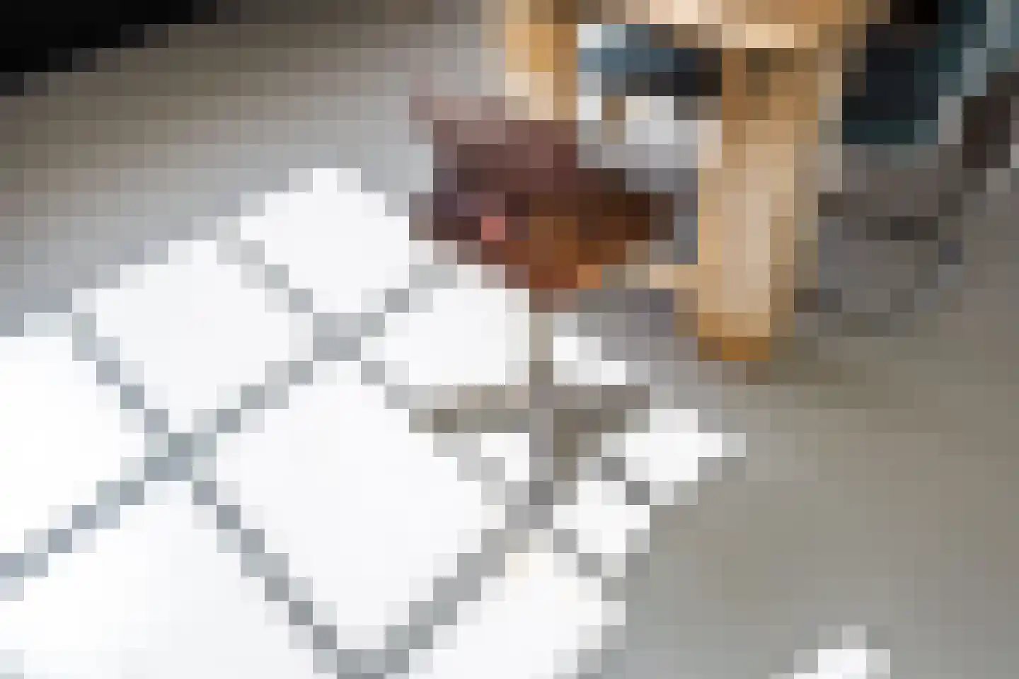 It Heech 9 Dronryp thumbnail 23