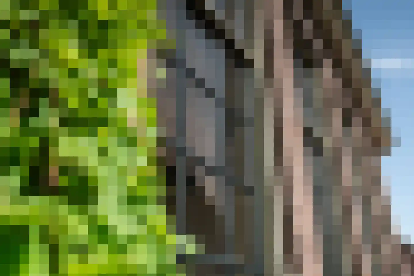 It Heech 9 Dronryp thumbnail 43