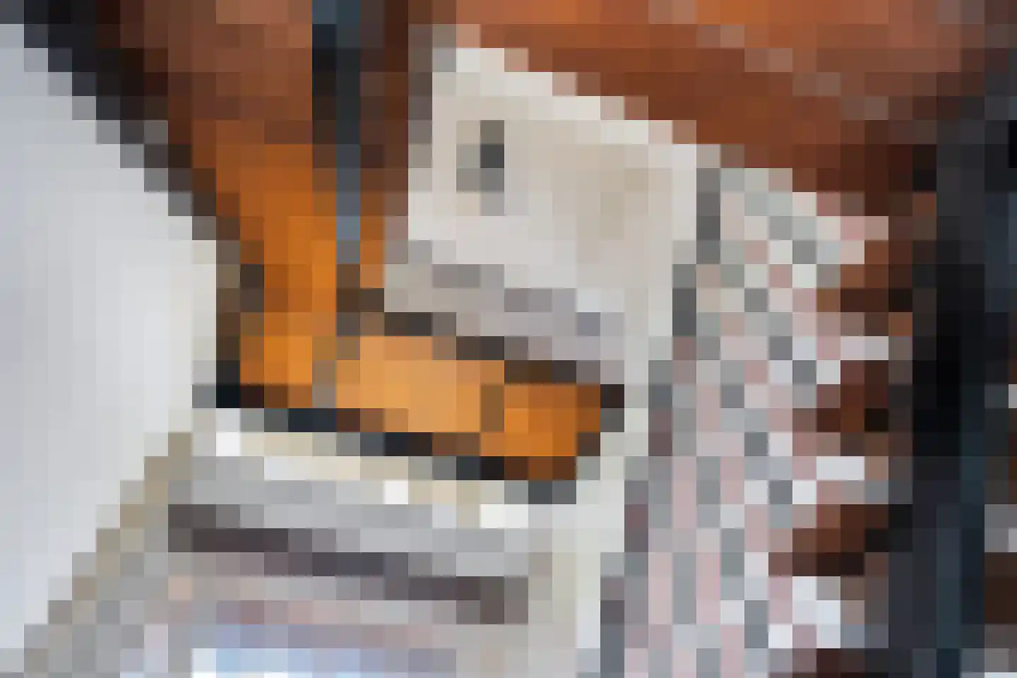 It Heech 9 Dronryp thumbnail 50
