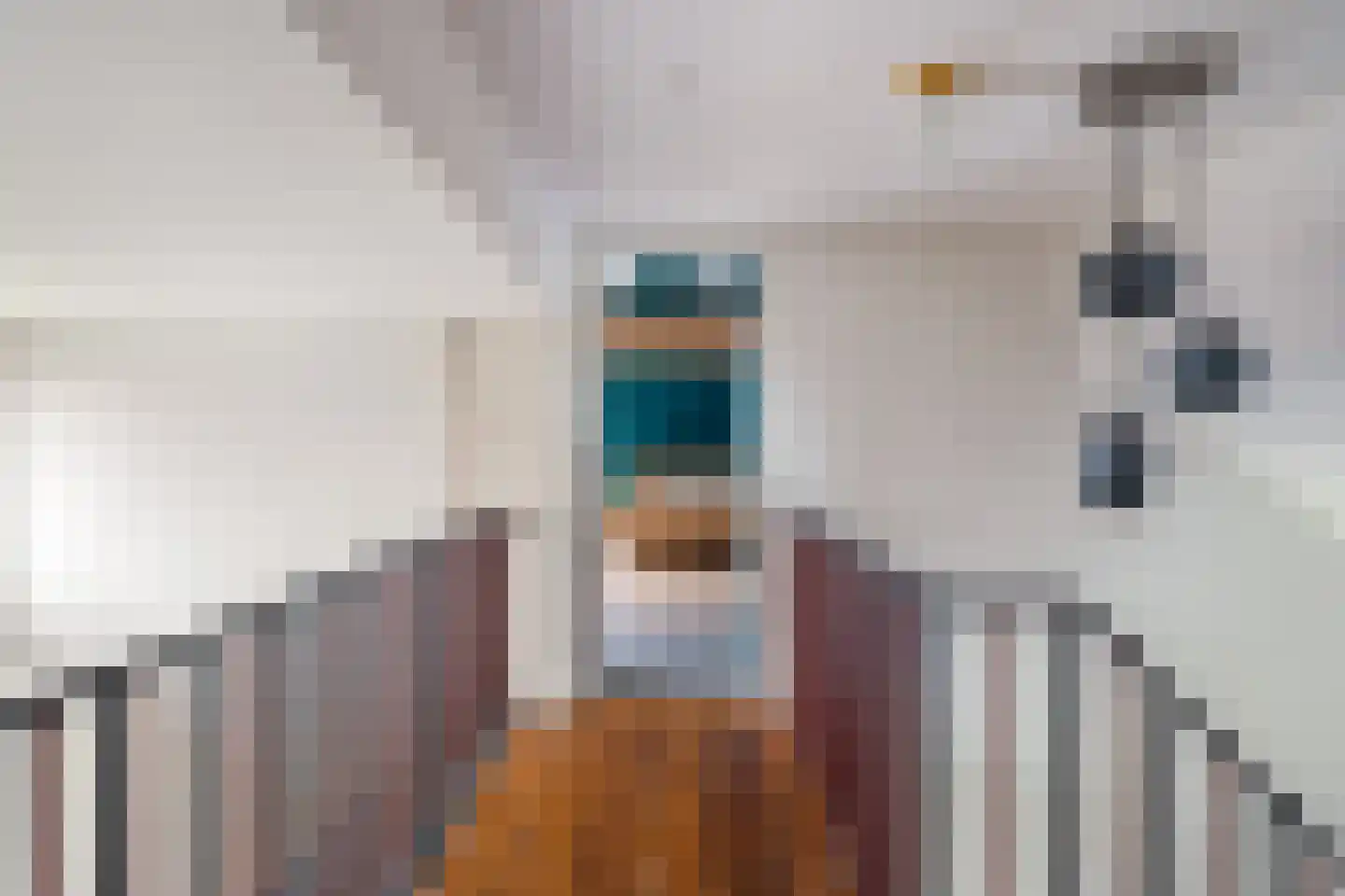 It Heech 9 Dronryp thumbnail 52