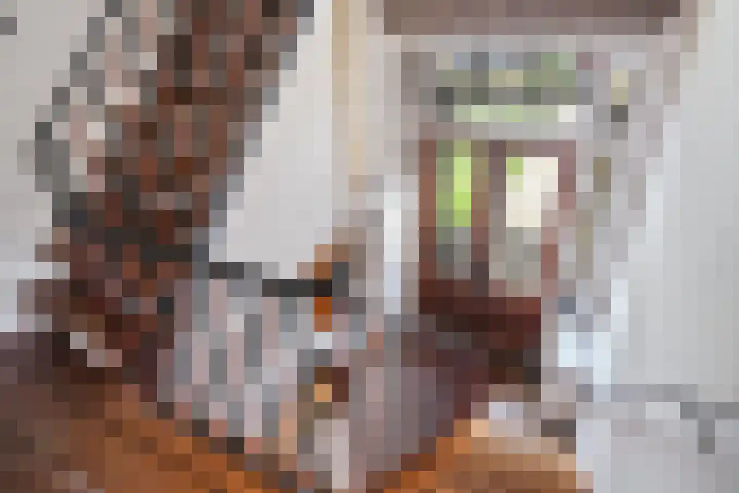 It Heech 9 Dronryp thumbnail 58