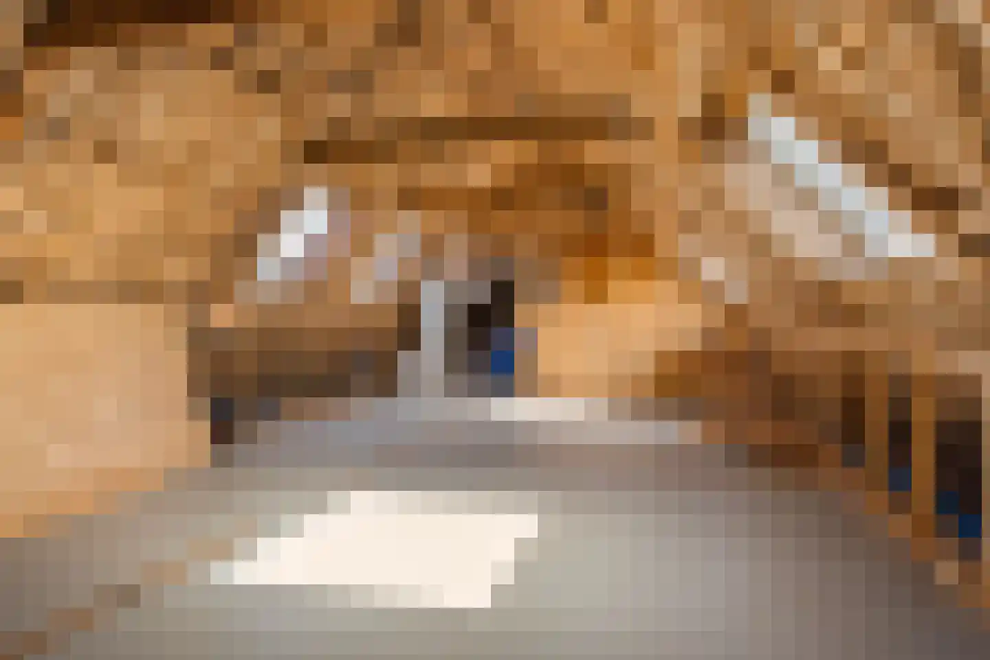 It Heech 9 Dronryp thumbnail 61