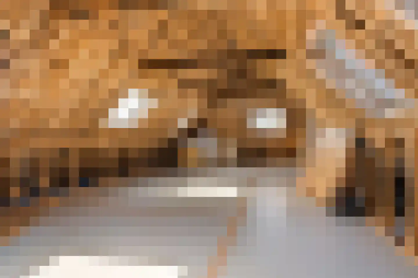 It Heech 9 Dronryp thumbnail 62