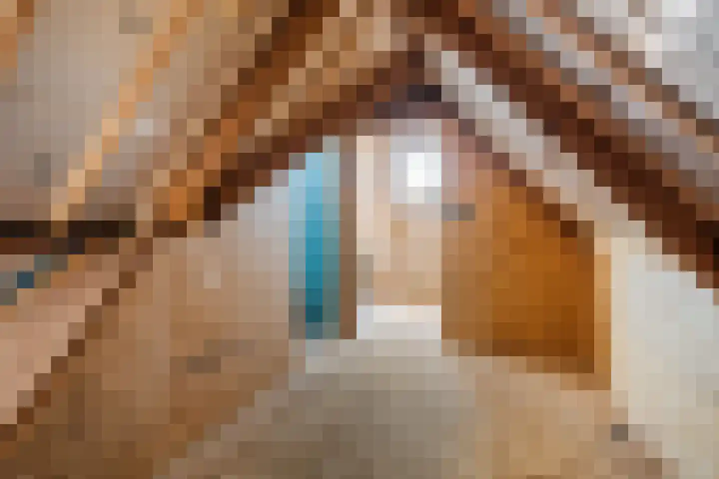 It Heech 9 Dronryp thumbnail 66