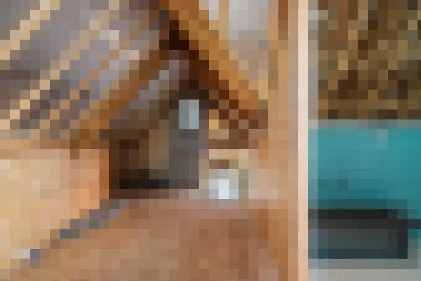 It Heech 9 Dronryp thumbnail 67