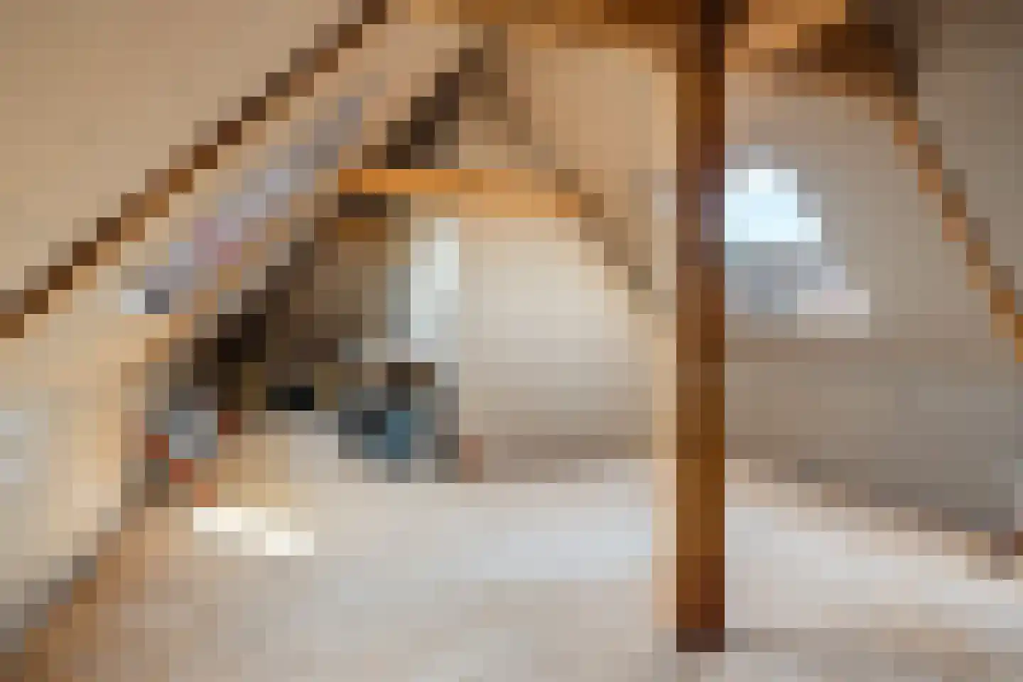 It Heech 9 Dronryp thumbnail 70