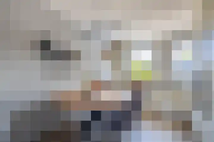 It Heechfean 49 Drachtstercompagnie thumbnail 10