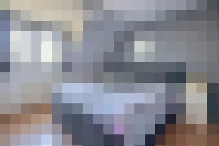 It Heechfean 49 Drachtstercompagnie thumbnail 16