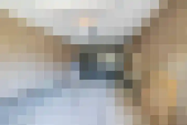 It Heechfean 49 Drachtstercompagnie thumbnail 24