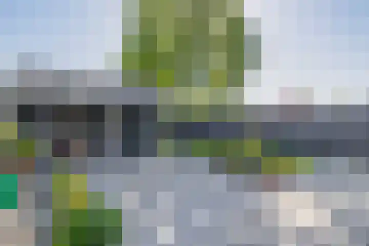 It Heechfean 49 Drachtstercompagnie thumbnail 26