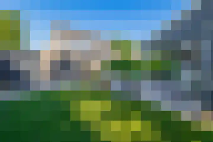 It Heechfean 49 Drachtstercompagnie thumbnail 28