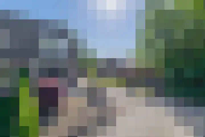 It Heechfean 49 Drachtstercompagnie thumbnail 31
