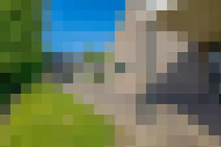 It Heechfean 49 Drachtstercompagnie thumbnail 32