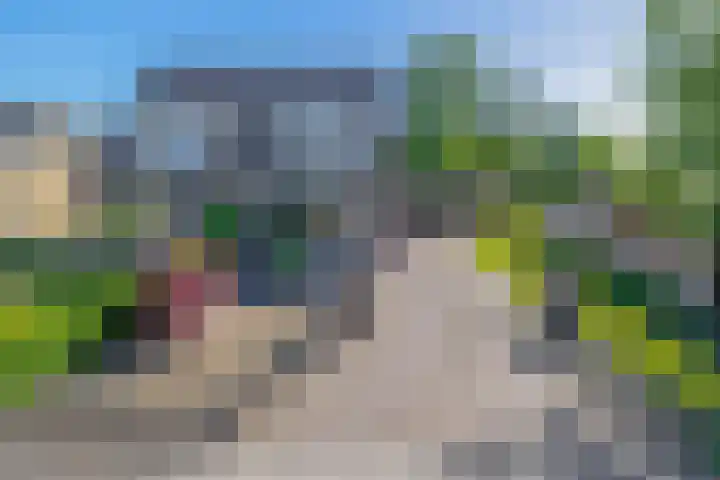 It Heechfean 49 Drachtstercompagnie thumbnail 33