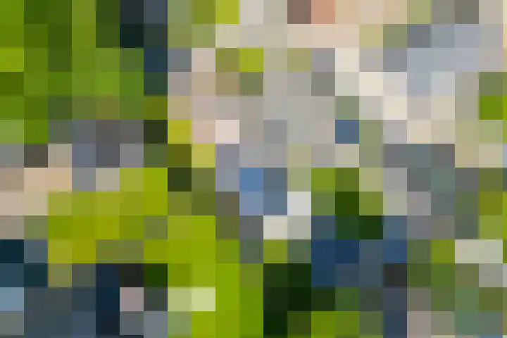 It Heechfean 49 Drachtstercompagnie thumbnail 34