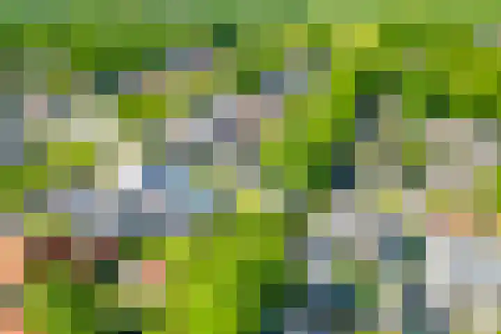 It Heechfean 49 Drachtstercompagnie thumbnail 35