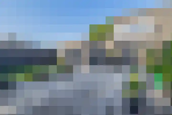 It Heechfean 49 Drachtstercompagnie thumbnail 4