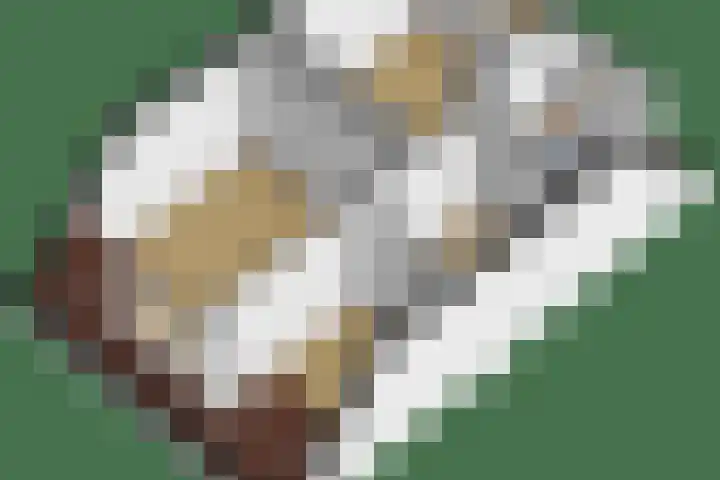It Heechfean 49 Drachtstercompagnie thumbnail 43