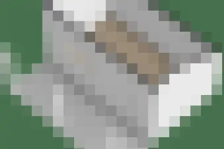 It Heechfean 49 Drachtstercompagnie thumbnail 45
