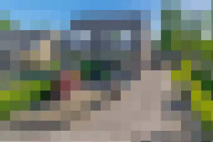 It Heechfean 49 Drachtstercompagnie thumbnail 46