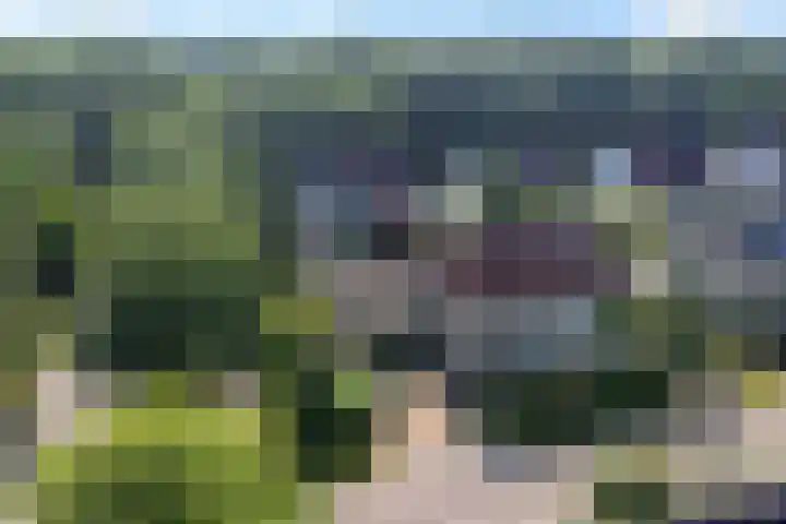 It Heechhout 16 Gytsjerk