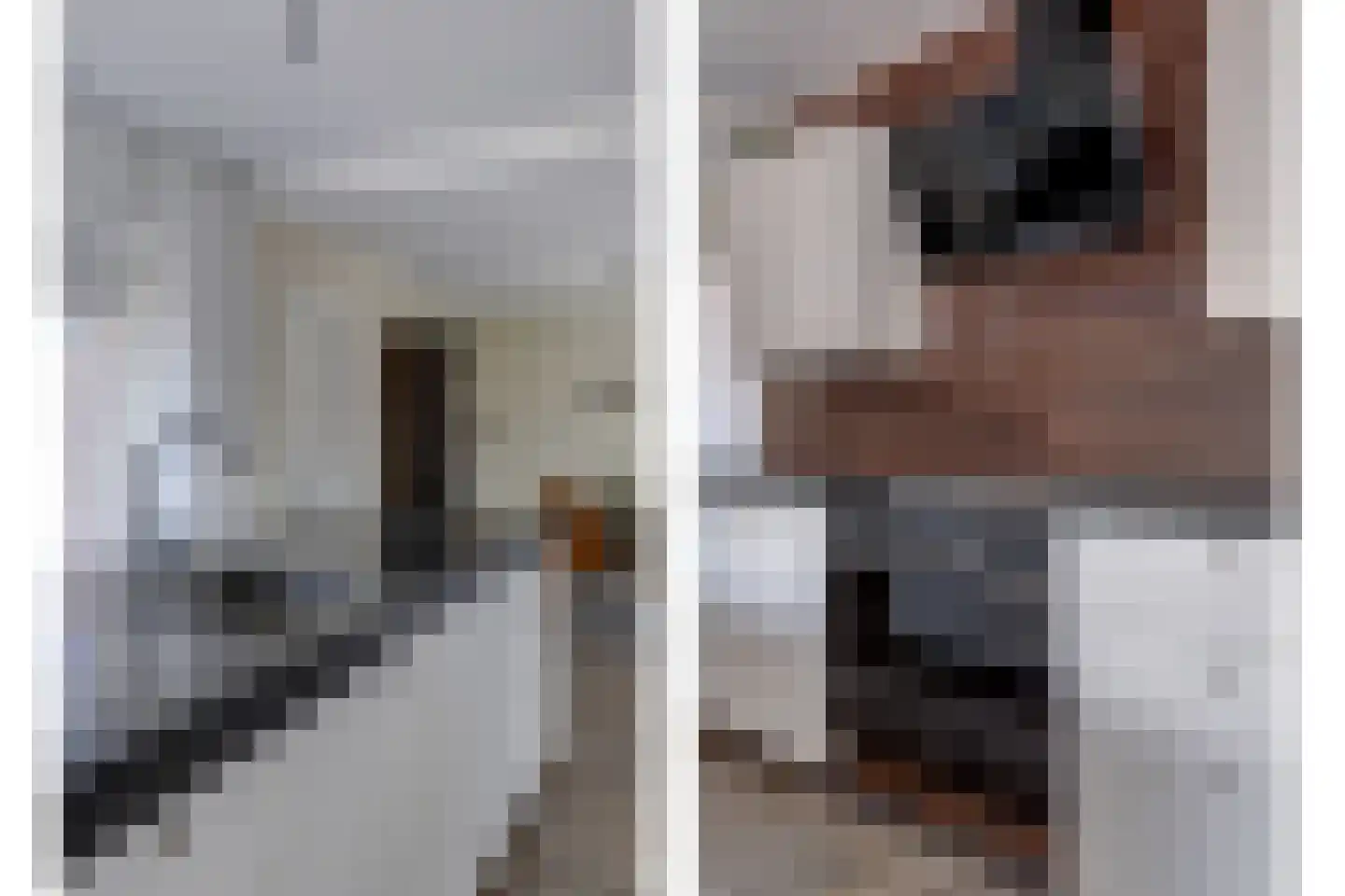 It Heechhout 26 Koudum thumbnail 12