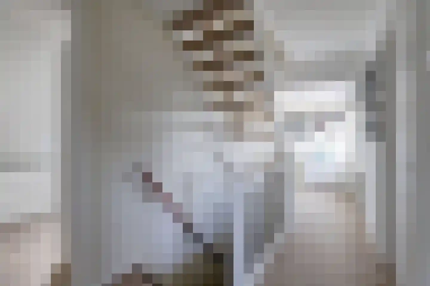 It Heechhout 26 Koudum thumbnail 18